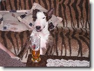 Něco dobrého před spaním