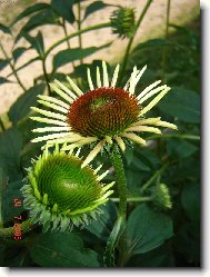 Jsme jak dvě dvojčátka! :)