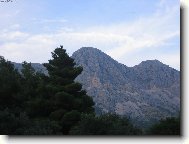 Hora před borovicí