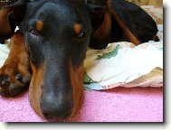 naše dobrwoman Viki