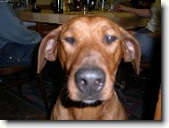 to mi to sluší takhle zblízka!