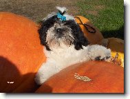 Místo přesně pro mně!