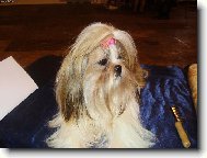 Kam jste zase všichni šli?