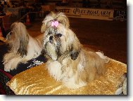 To jsem zvědavá,kdo to bude dneska...