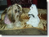 Proč se mnou nemluvíš?