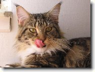 To byla dobrota! Mňam!