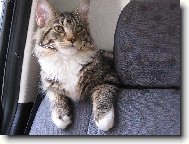 Maruška jede na dovolenou k babičce.