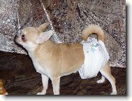 reklama na plínky :-)