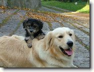 to jsme kamarádi co...