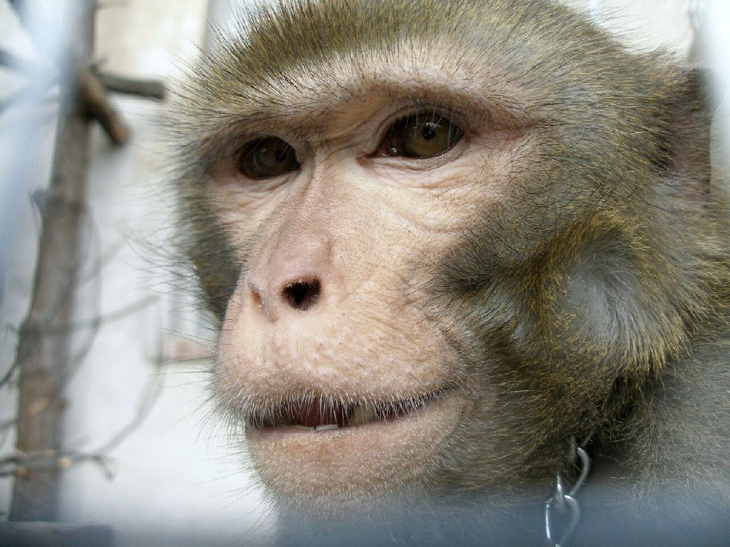 Foto: