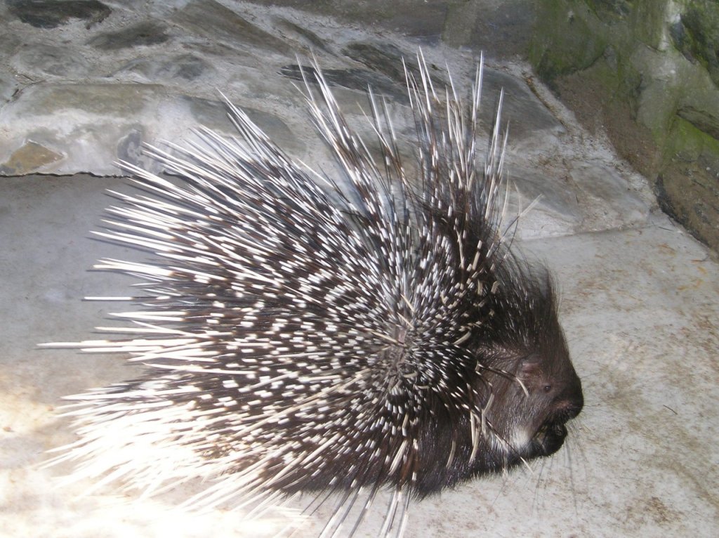 Foto: