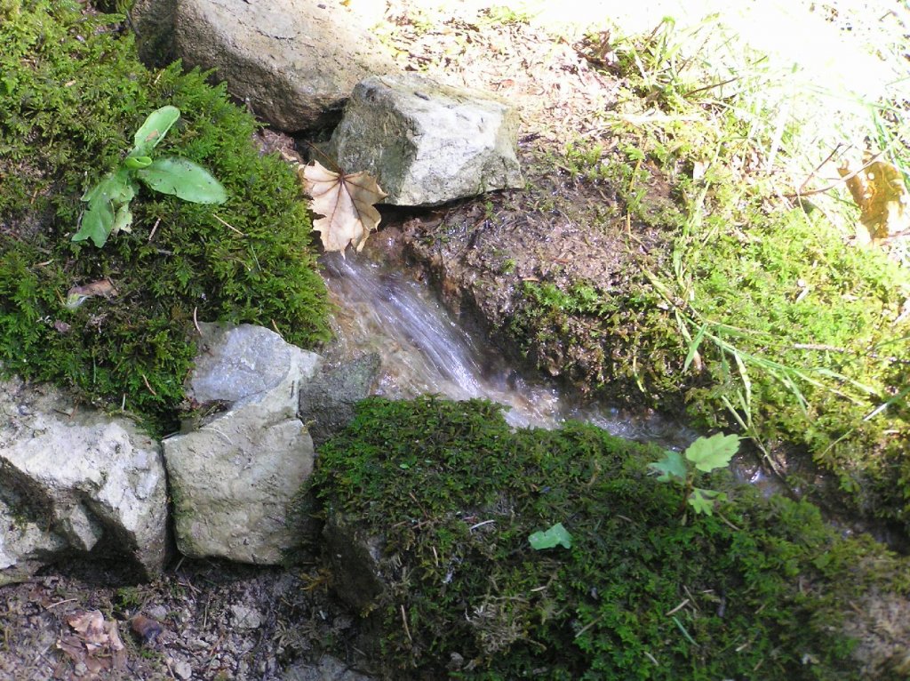 Foto: Teče voděnka...