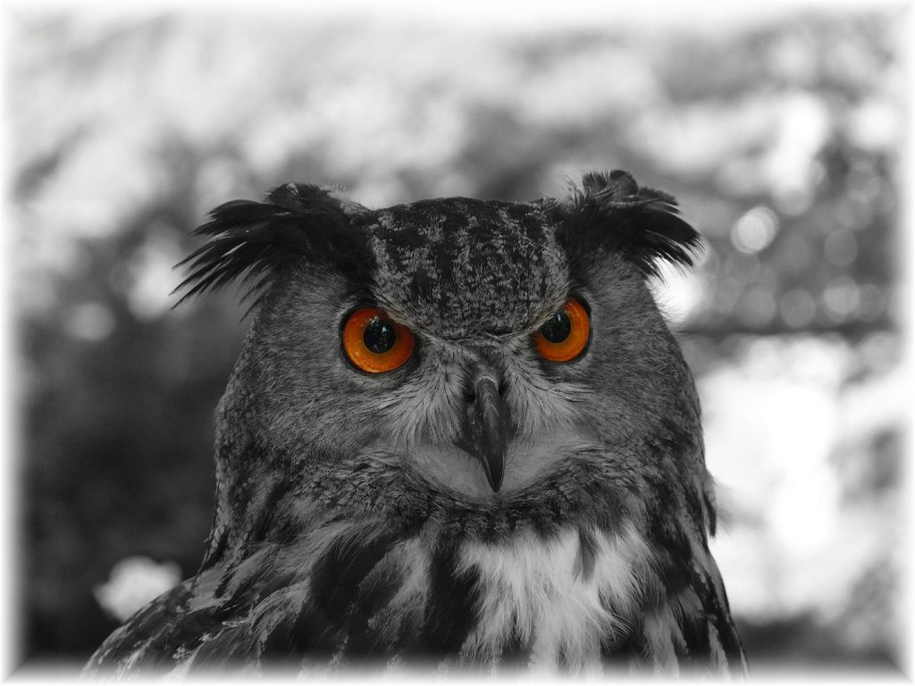 Foto: koukám jako vejr