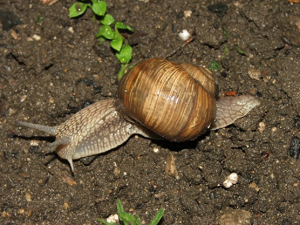 Foto:
