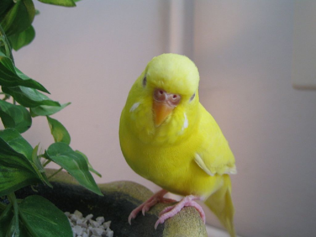 Foto: