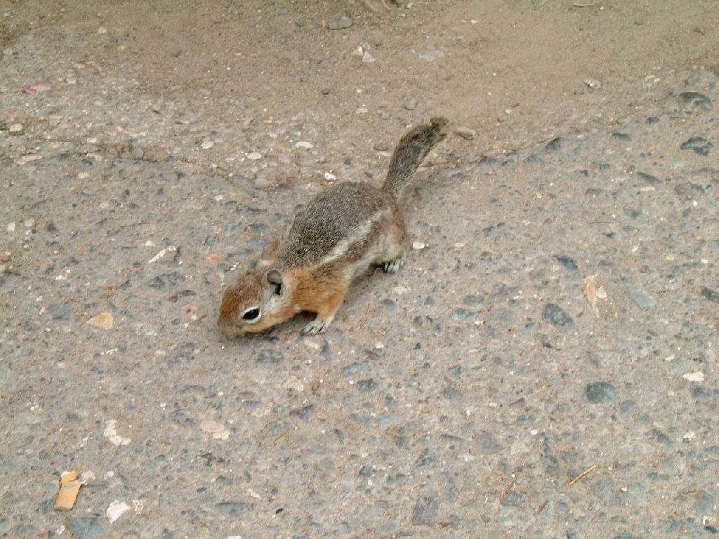 Foto:
