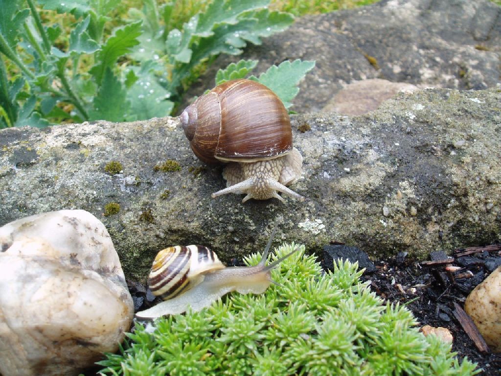 Foto: