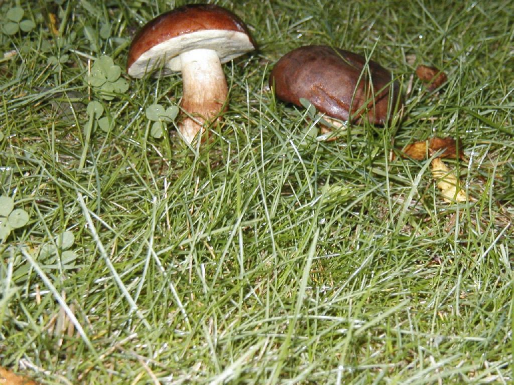 Foto: