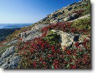 Puzzle on-line Puzzle on-line