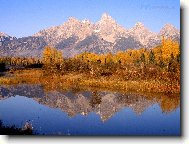 Puzzle on-line Puzzle on-line