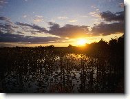 Puzzle on-line Puzzle on-line