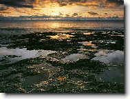 Puzzle on-line Puzzle on-line