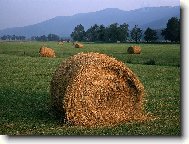 Puzzle on-line Puzzle on-line