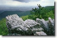 Puzzle on-line Puzzle on-line