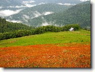 Puzzle on-line Puzzle on-line