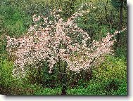 Puzzle on-line Puzzle on-line