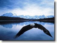 Puzzle on-line Puzzle on-line