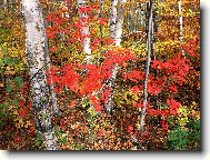 Puzzle on-line Puzzle on-line