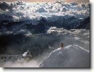 Tapety na plochu: 3156