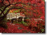 Puzzle on-line Puzzle on-line