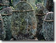 Puzzle on-line Puzzle on-line