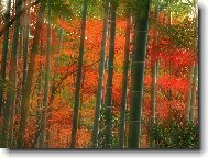 Puzzle on-line Puzzle on-line