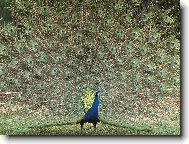 Puzzle on-line Puzzle on-line