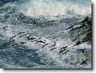 Puzzle on-line Puzzle on-line