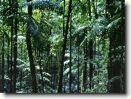 Puzzle on-line Puzzle on-line