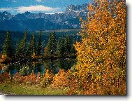 Tapety na plochu: 3416