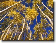 Puzzle on-line Puzzle on-line