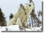 Puzzle on-line Puzzle on-line