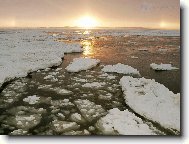 Puzzle on-line Puzzle on-line