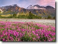 Tapety na plochu: 3449