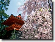Puzzle on-line Puzzle on-line