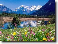 Puzzle on-line Puzzle on-line
