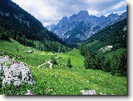 Puzzle on-line Puzzle on-line