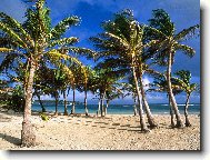 Puzzle on-line Puzzle on-line