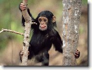 Puzzle on-line Puzzle on-line