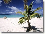 Puzzle on-line Puzzle on-line